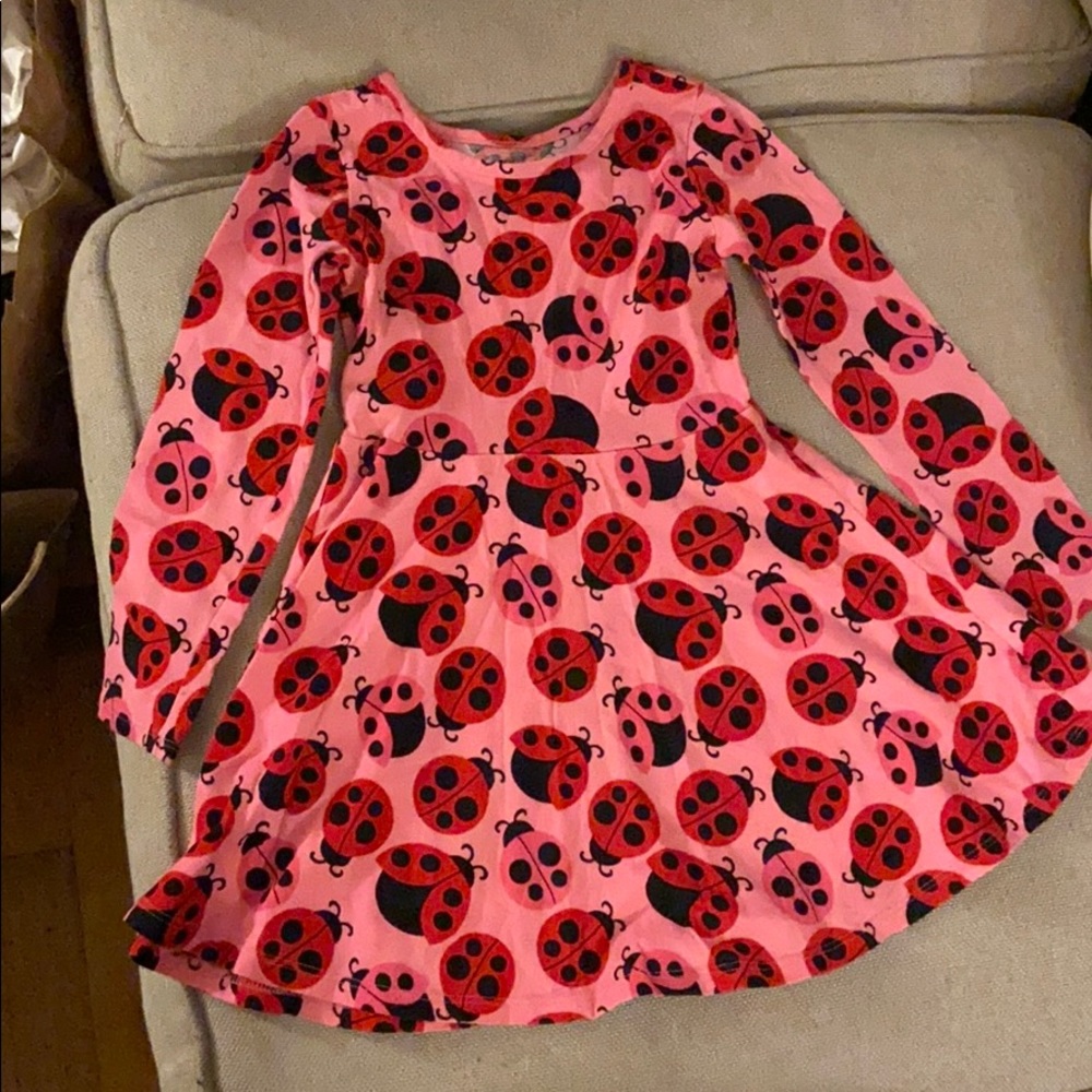 4t ladybug long sleeve dress worn once
